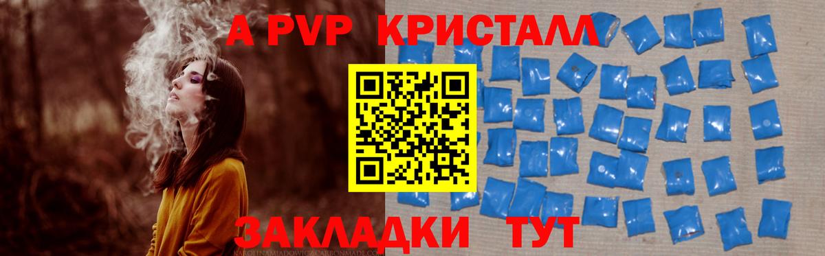 A PVP СК КРИС Сальск