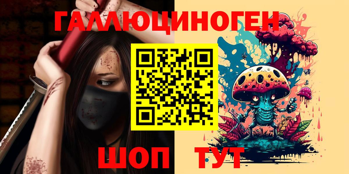 Сальск  Псилоцибиновые грибы Psilocybine cubensis  Вход с VPN 
