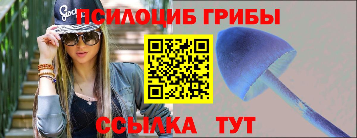 Галлюциногенные грибы Psilocybe Сальск